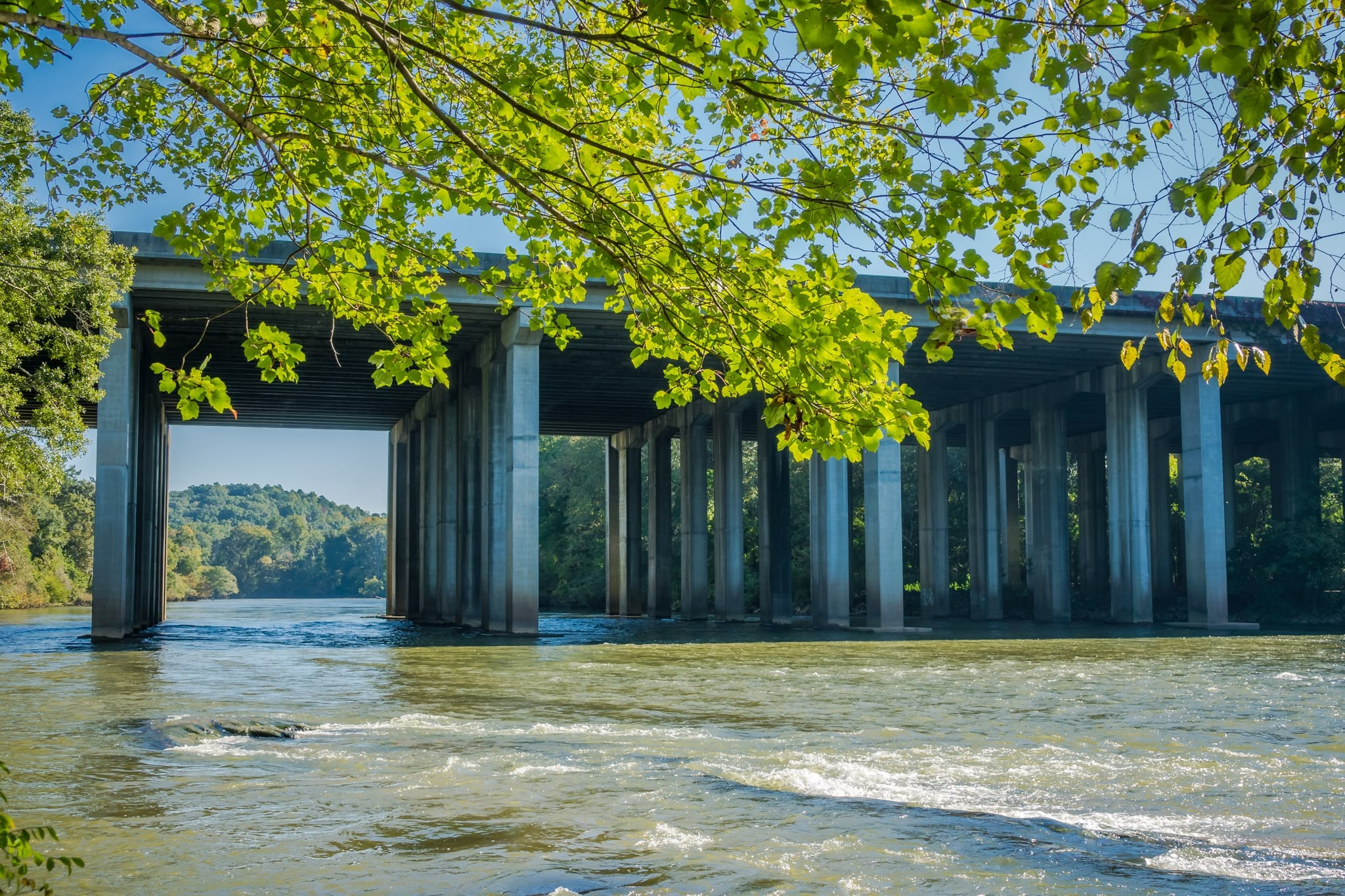 A wide concrete highway bridge supported by numerous vertical pillars spans across a wide, fast-moving river with ripples and small rapids. In the foreground, vibrant green tree branches and leaves frame the top edge of the scene under bright sunlight. Beyond the underpass, lush forested hills and calm water recede into the distance beneath a clear blue sky.