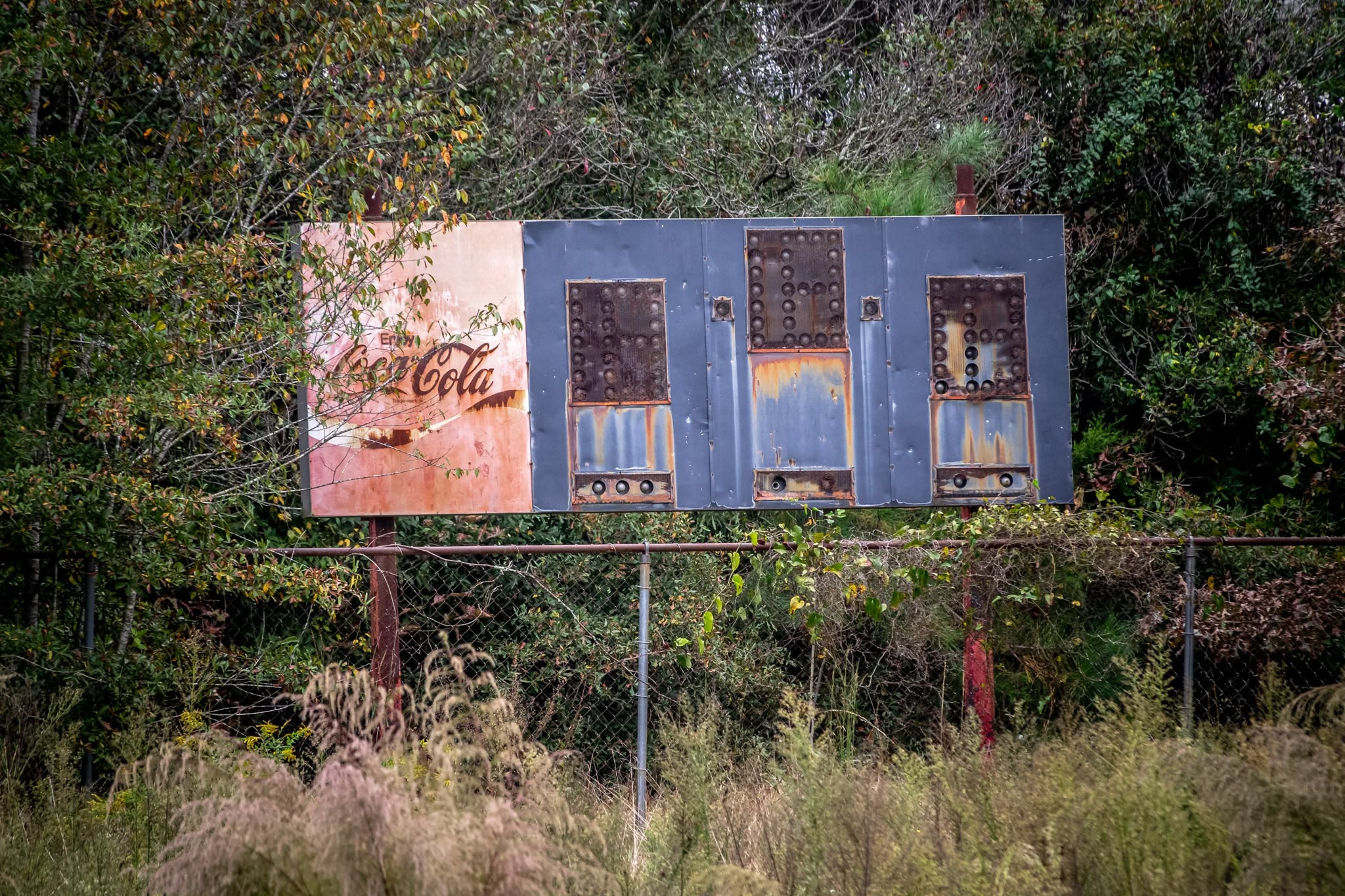 A weathered, obsolete metal scoreboard stands behind a chain-link fence surrounded by overgrown brush and dense trees. The left panel features a faded, rust-stained "Enjoy Coca-Cola" advertisement, while the dark gray main body holds three vertical sections of rusted digit displays with empty light bulb sockets. Tall wild grasses and weedy foliage grow densely across the foreground beneath the abandoned sign.