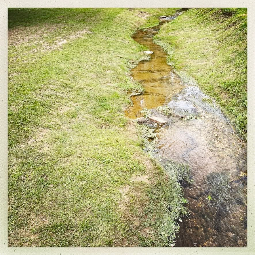 A shallow, narrow stream flows through a grassy drainage swale in a slightly elevated perspective. Clear water reveals a muddy, pebble-strewn bed with patches of aquatic moss and small rocks along its meandering path. Sloping green grass banks frame the channel, bordered by an off-white photo frame.