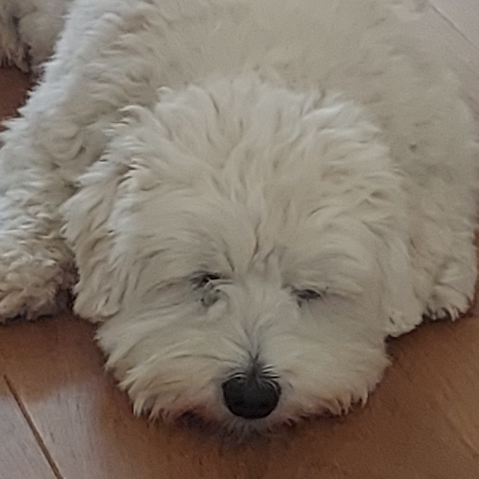 Mathew Lowry's avatar